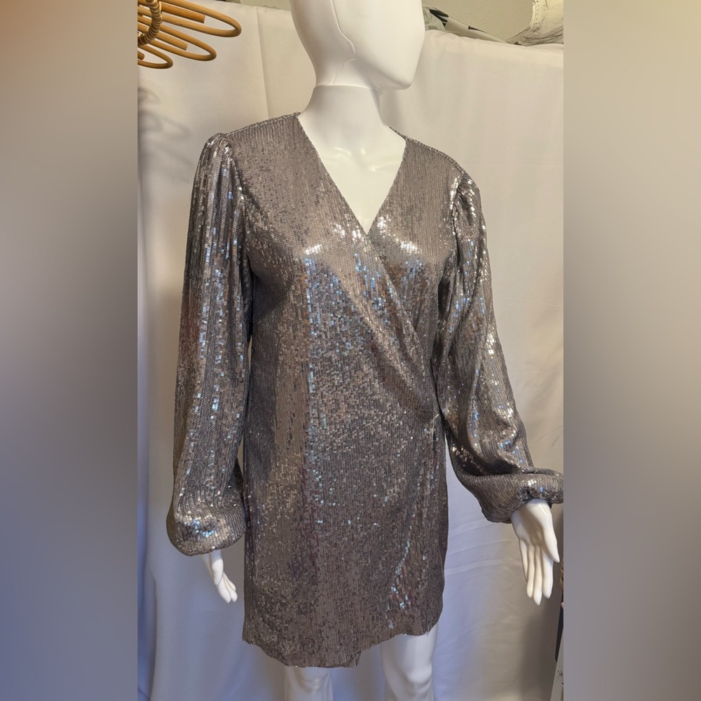 Leyden Silver Sequin Dress with Subtle Gray Lining